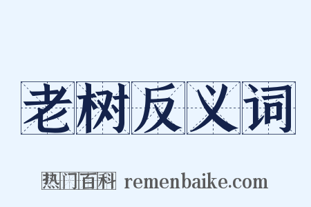 老树反义词是什么意思的图片